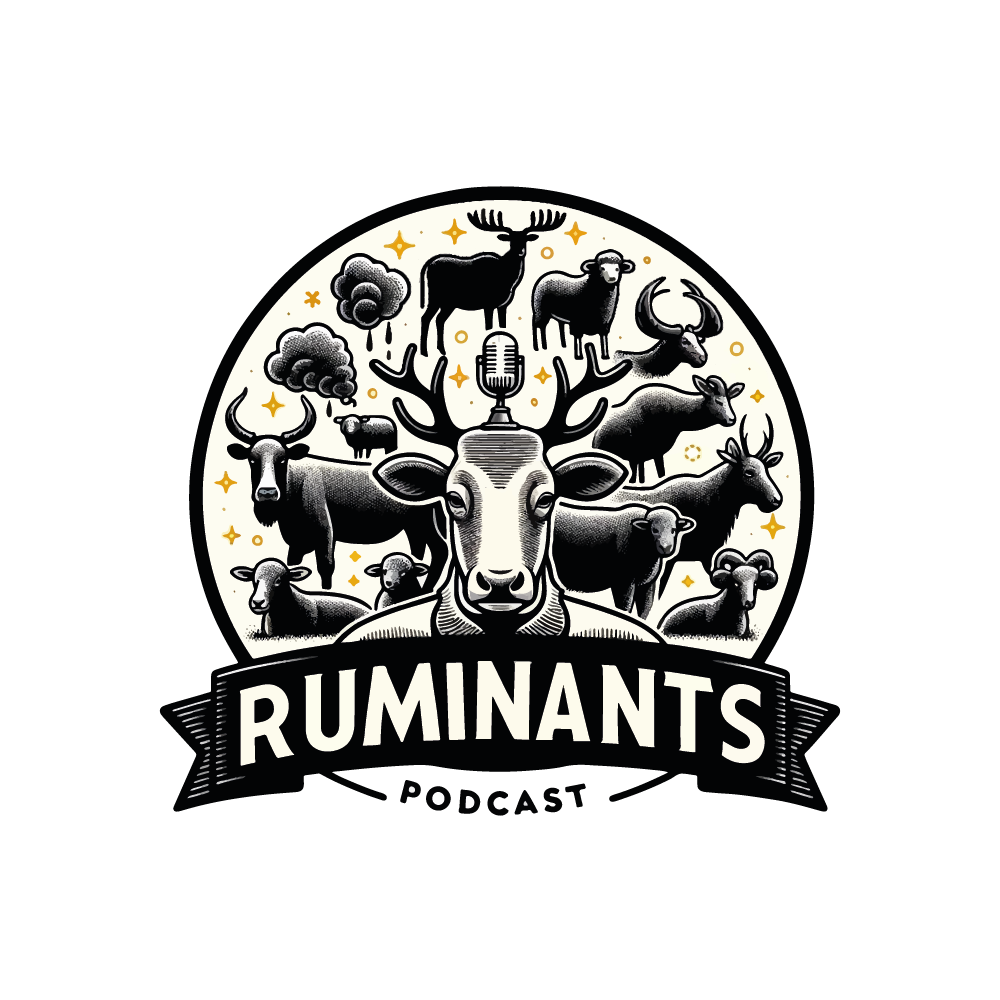 Ruminants